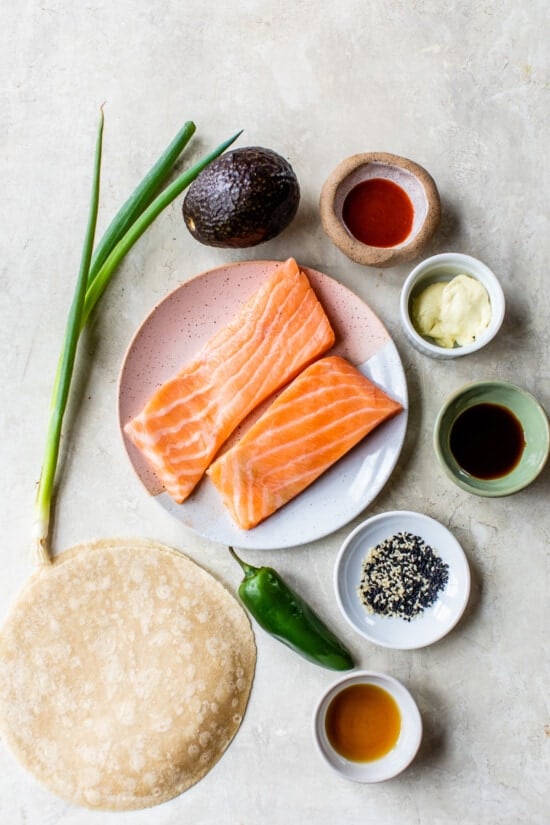 ingredientes de sushi de salmão